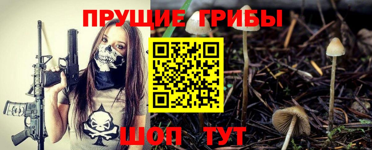 Псилоцибиновые грибы мухоморы Южно-Сахалинск